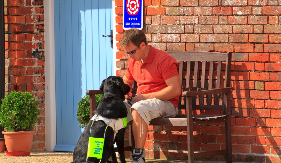 Black Labrador, image provided by VisitBritain/Pawel Libera/Tourism For All.