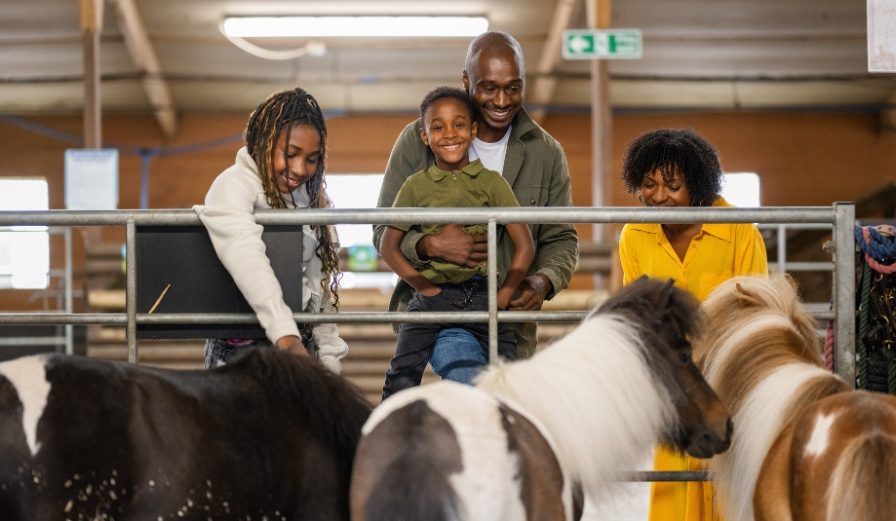 A family at Attwell Farm Park looking at three horses