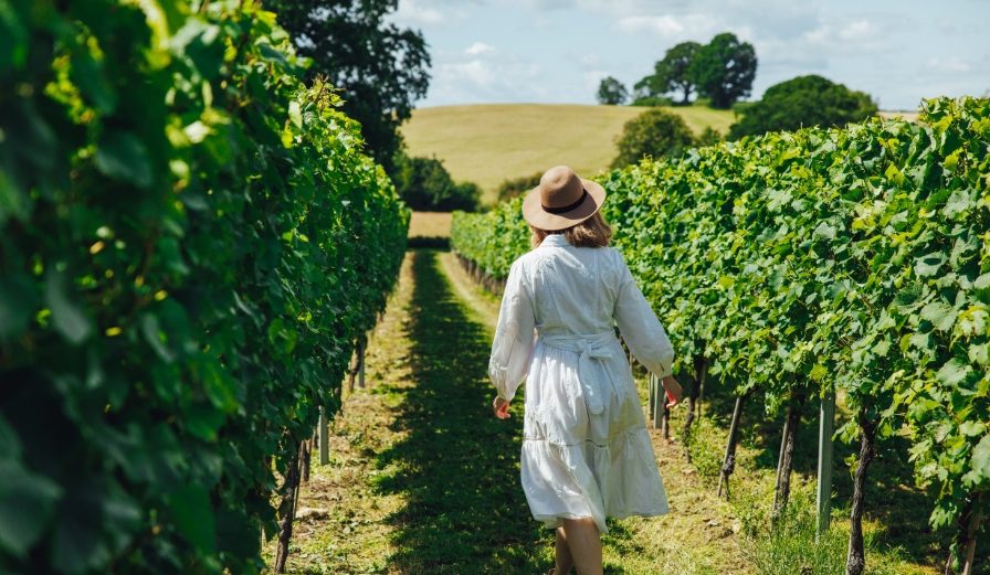 A girl walking through a vineyard at Deer Park Wines