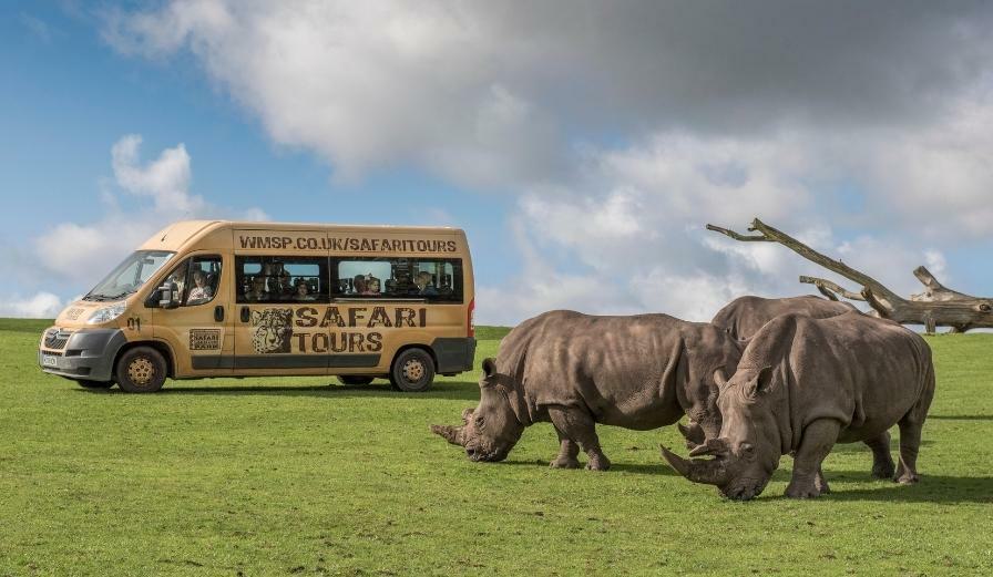 Photo of Safari tour minibus parked next to rhinos at West Midland Safari Park
