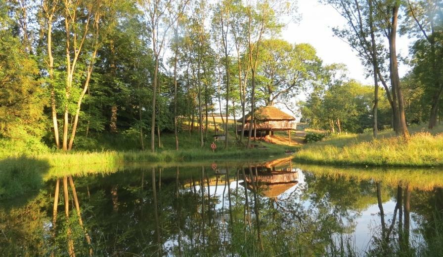 Photo of treehouse at Treeopia looking out towards the lake