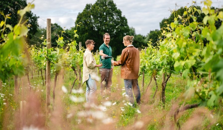 Wine tasting at Astley Vineyard