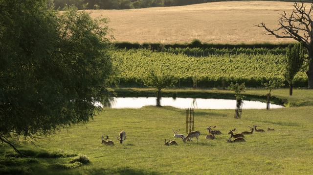 175ef6 751b0c5369854199a6f06a86fd8915ec mv2