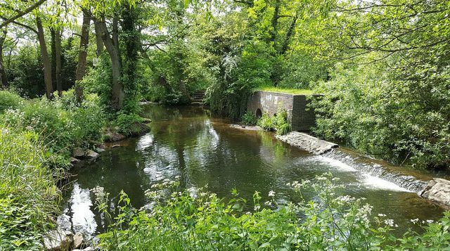 20160530 151802 largejpg