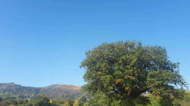 235767936 3039814989675694 8722362268336709962 n