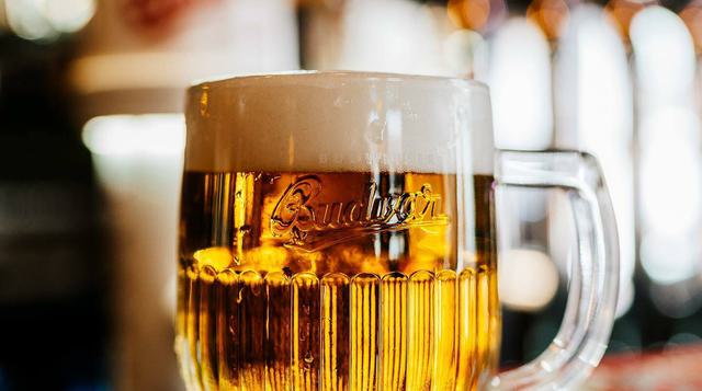 271437470 3125765427680585 2364465941395253863 n