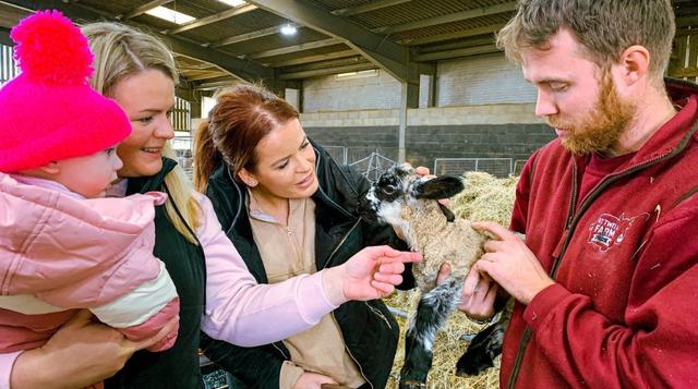 A farmer holding a sheep and showing guests at Attwell Farm Park