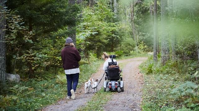 A wheelchair user enjoying the forest walking two dogs on a lead