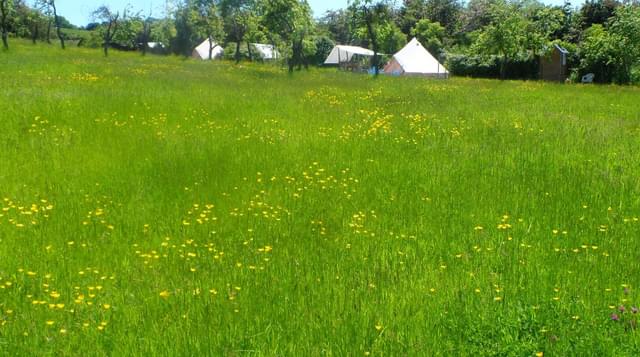 Bell tents