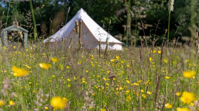 Bell Tent1