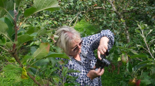 Diglisphoto 3 Paul Kilgallon