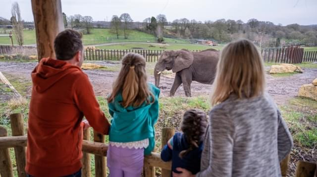 Photo of a family looking at an elephant at West Midland Safari Park