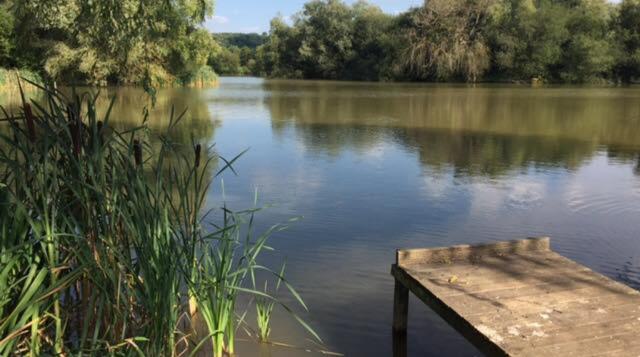 Photo of fishing lake at Vale Golf and Country Club