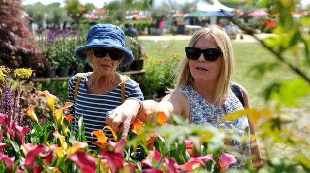 Photo of guest looking at flowers at Three Counties Showground