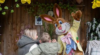 Photo of guest waving to the easter bunny at West Midland Safari Park
