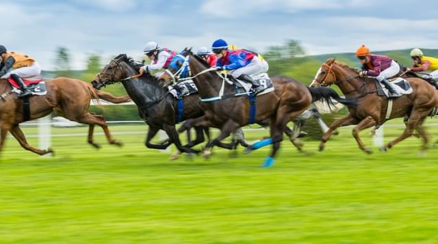 Photo of horses taking part in race