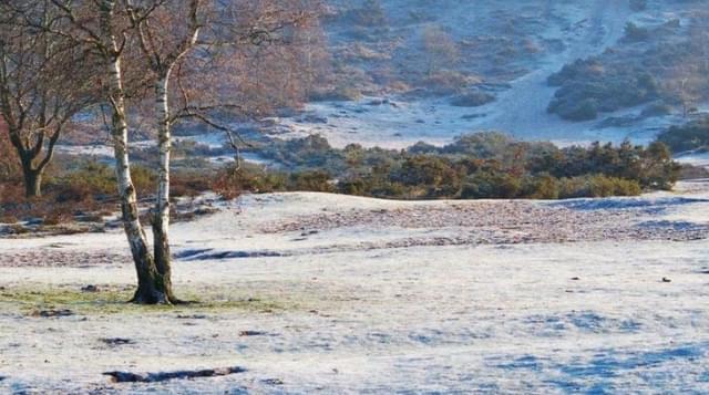 Photo of winter scene at Hartlebury Common