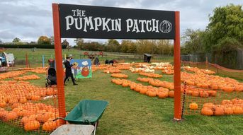 Pumpkin Patch at Top Barn Farm Shop