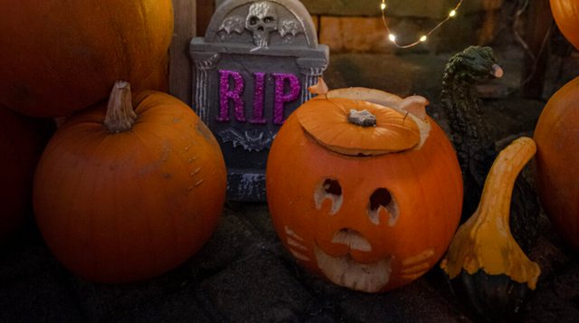 Pumpkin carving