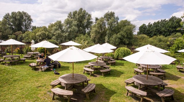 YRS 2024 06 06 27137 e1