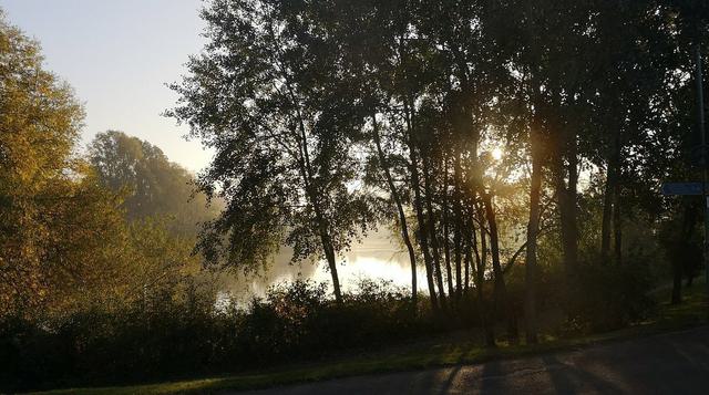 Early morning lakeside