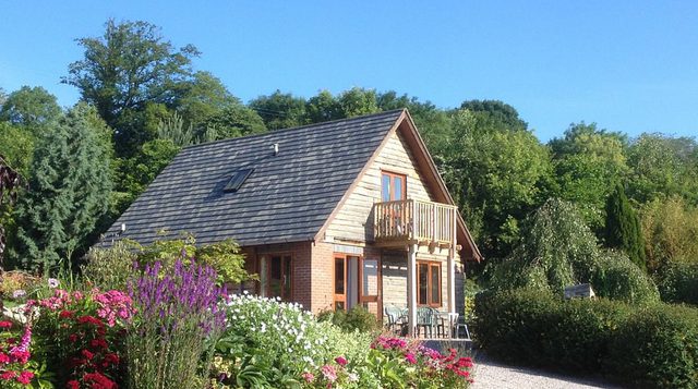 Heron lodge in summer