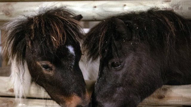 M VQ Jeau G1 HW3 Lz Z2v Bk SRH To Lwa Ucnxt SQ Ts5 NTH card 1x