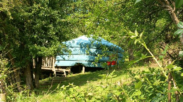 Yurt in woodland cropped
