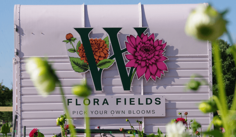 Flora Fields