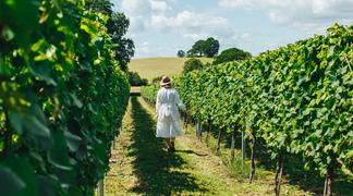 A girl walking through a vineyard in Worcestershire 1