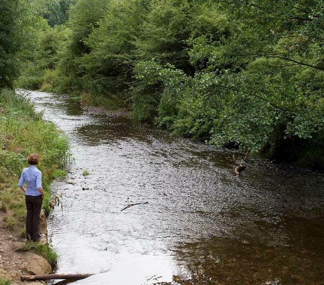 Photo of visitor looking at the River Arrow in Redditch