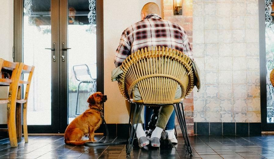 Photo of guest and dog dining in at Good Roots in Worcester